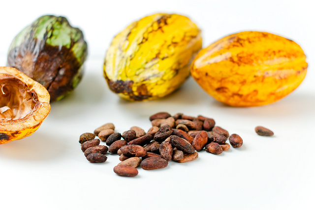cacao-polyphenol